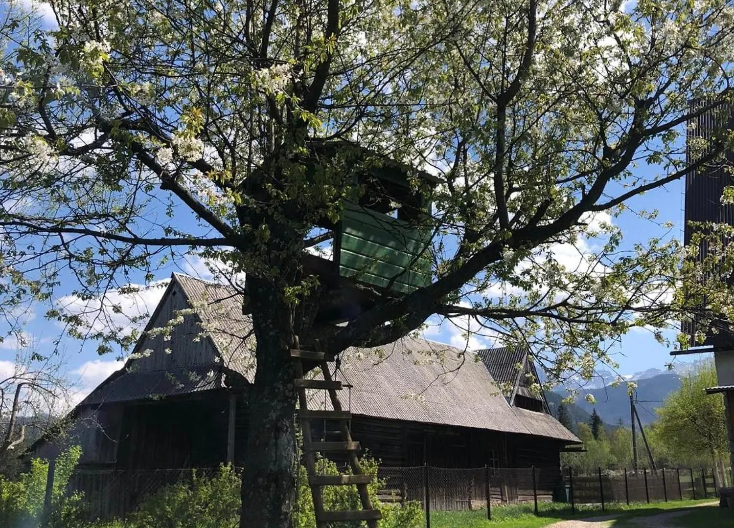 Apartament Pensjonat U Doroty, Zakopane - Twoje Miejsce W Gorach
